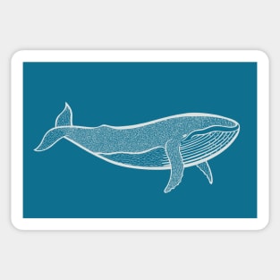 Humpback Whale animal drawing Sticker